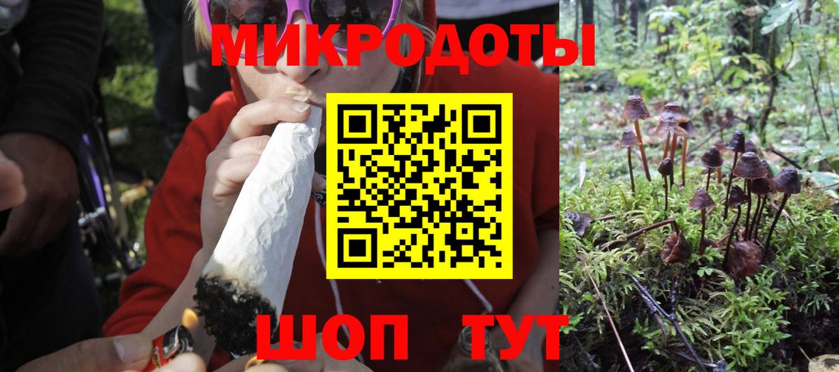 Гудермес  Галлюциногенные грибы Psilocybe  Вход с VPN 